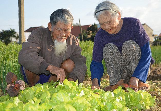 Green House Homestay Hoi An Luaran gambar