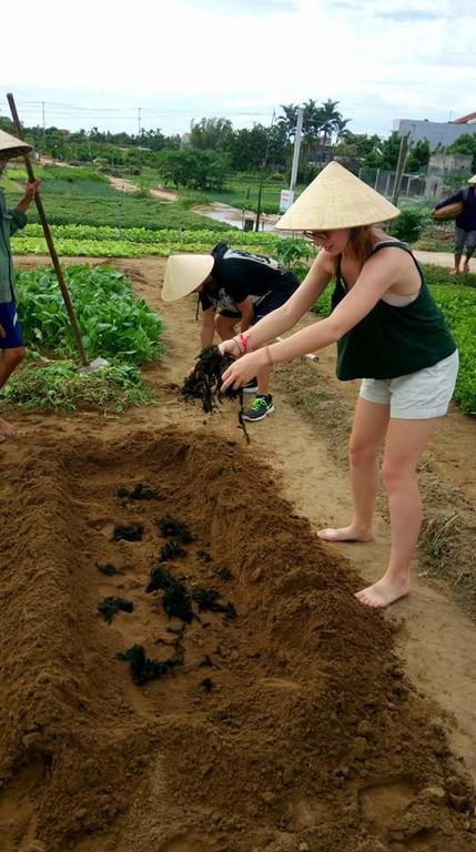 Green House Homestay Hoi An Luaran gambar